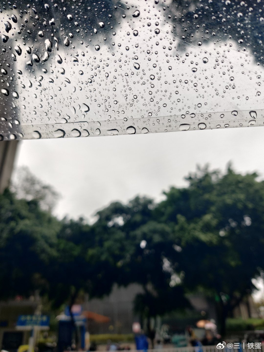 自然之美独特体验，最新雨景的沉浸之旅